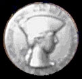 silver award