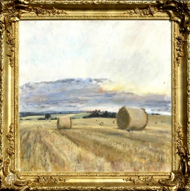 A Summer's Evening at Balgarvie Farm Perthshire