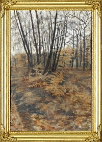 Autumn in Nower Wood