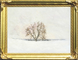 Snow Scene in The Deep Winter at Bonellas